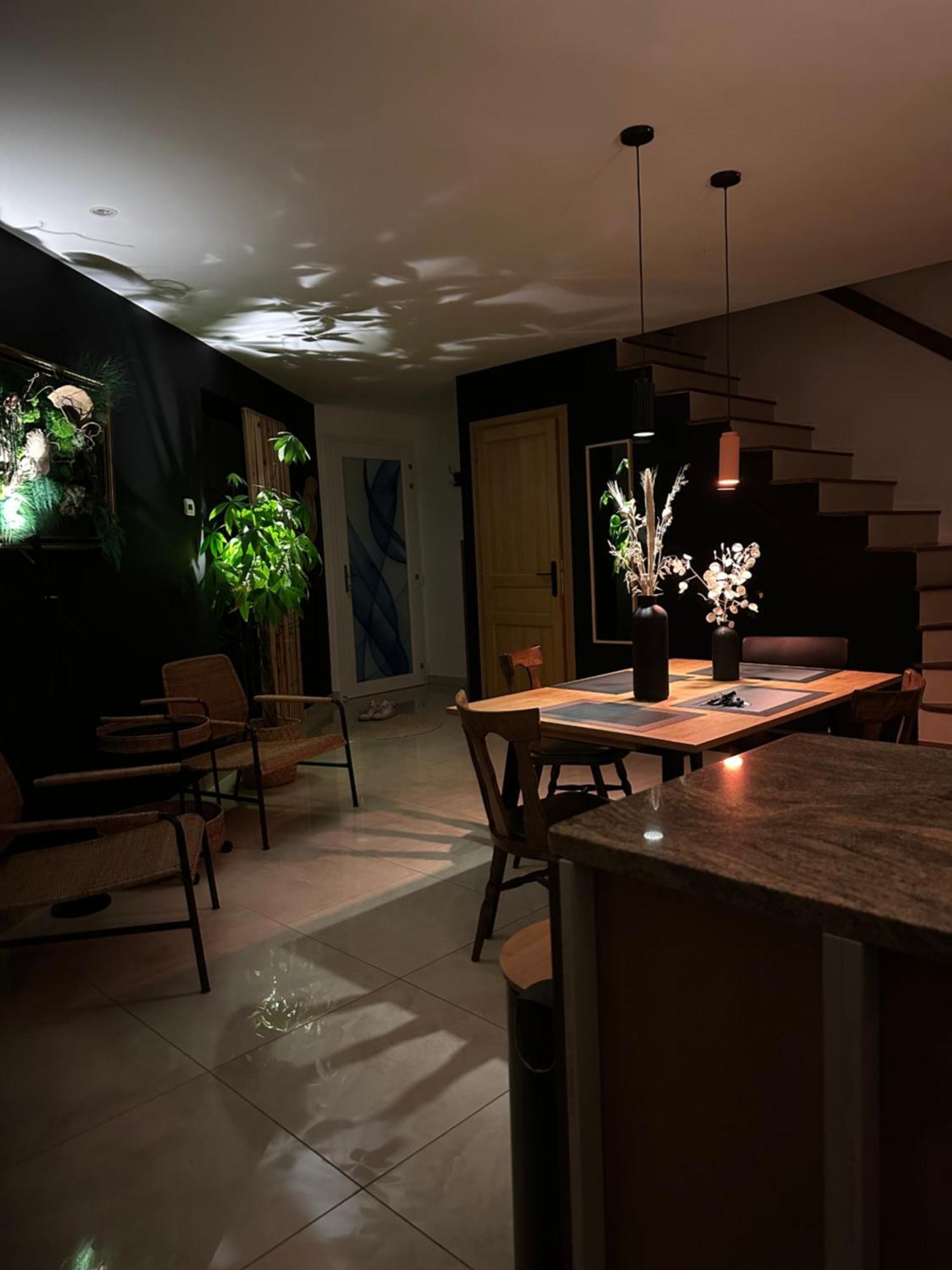 Pink Tropical Champagne Appartement Reims Buitenkant foto